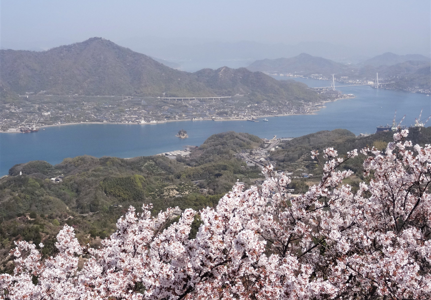 岩城島積善山より島を臨む（生口島） イメージ